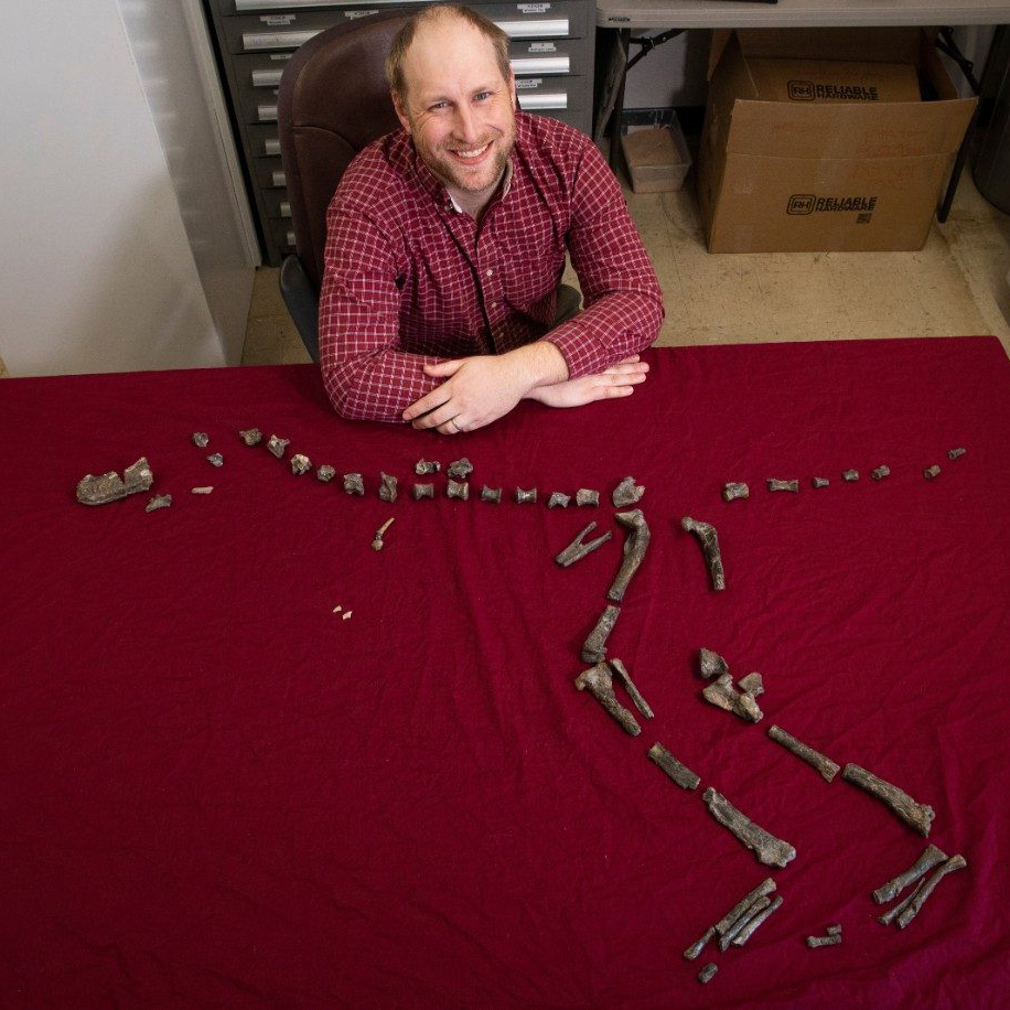 New dinosaur discovery