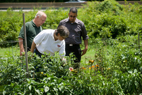 From left, Horticulture Technician Teddy Martin, Extension Agent Lisa Sanderson and Gardens Growing Families participant Angelo Wright check over plants growing in Wright's plot.