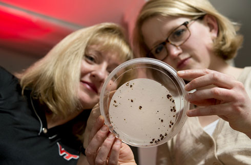 Associate Professor Dini Miller, at left, and master's student Molly Stedfast