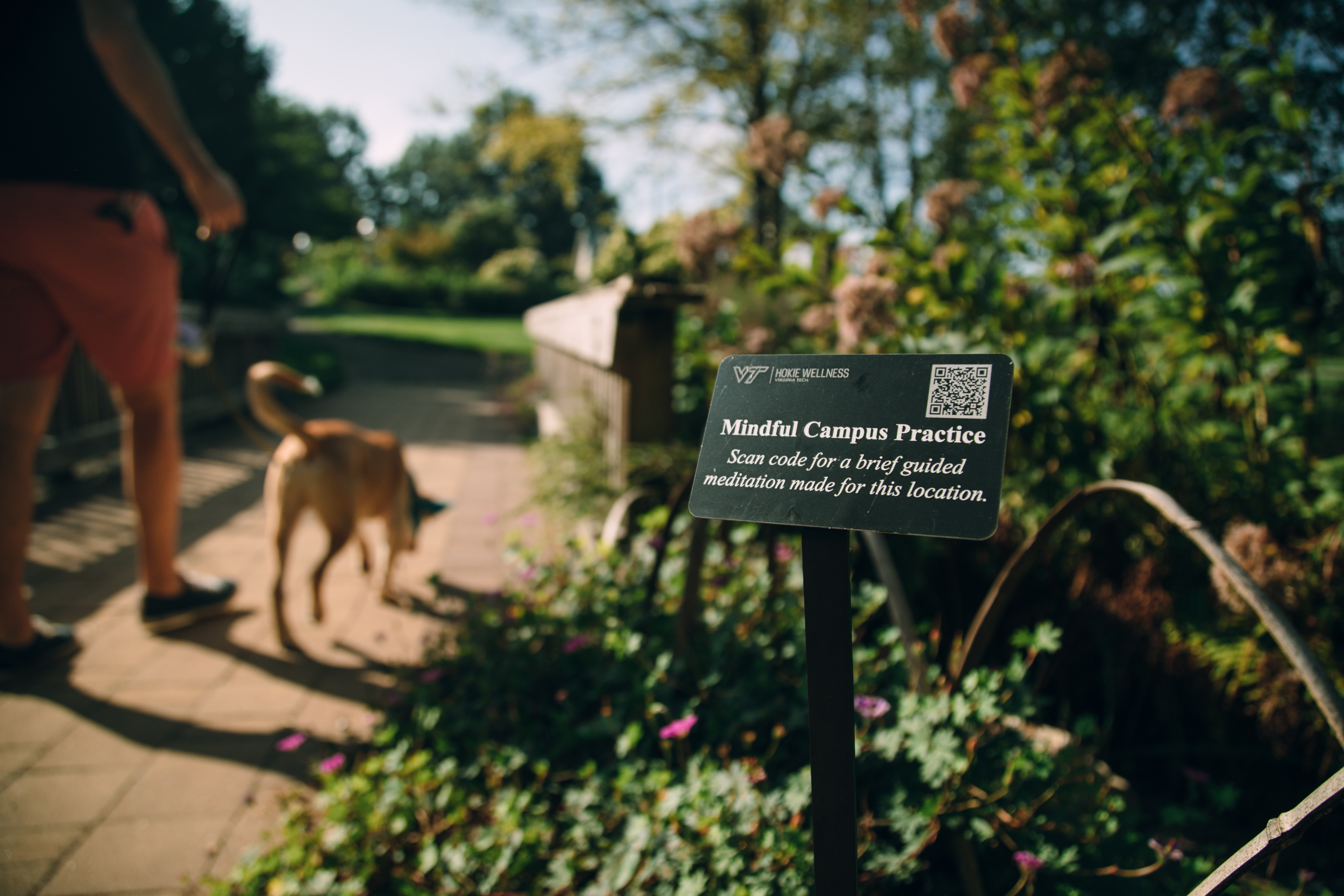 The Sign