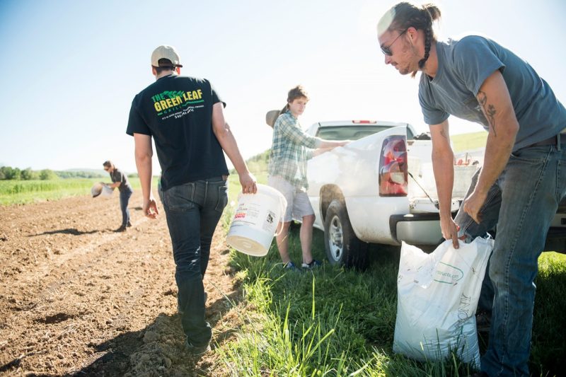 Students working in crops Students carrying seeds for distribution in crops on a farm.