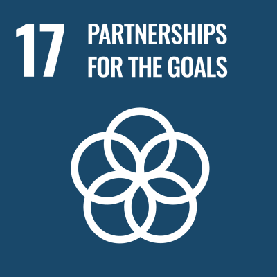17 Partnerships for the Goals dashboard