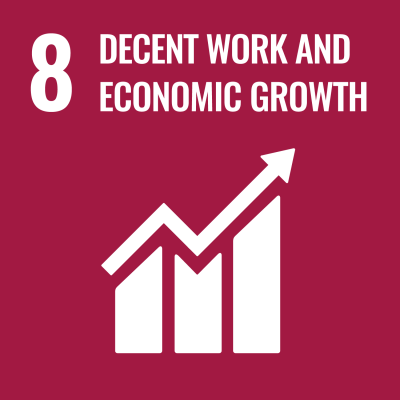8 Decent Work and Economic Growth dashboard