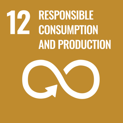 12 Responsible Consumption and Production dashboard