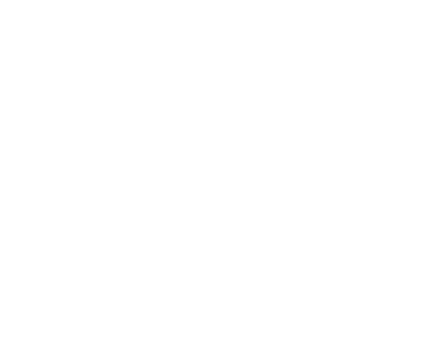 icon of a video call on a laptop
