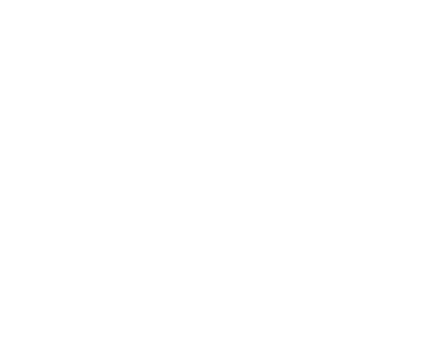 icon of a paint brush