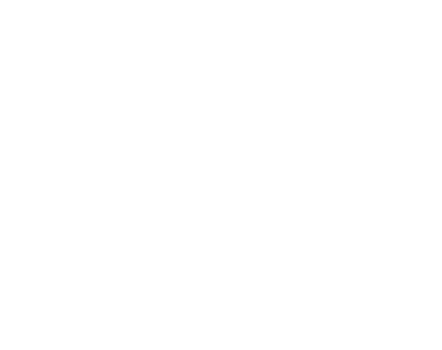 icon of a protected and clean house